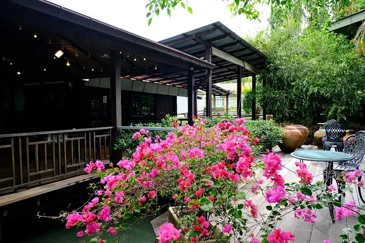 A yard that flooded twice a year — Prairieville, LA